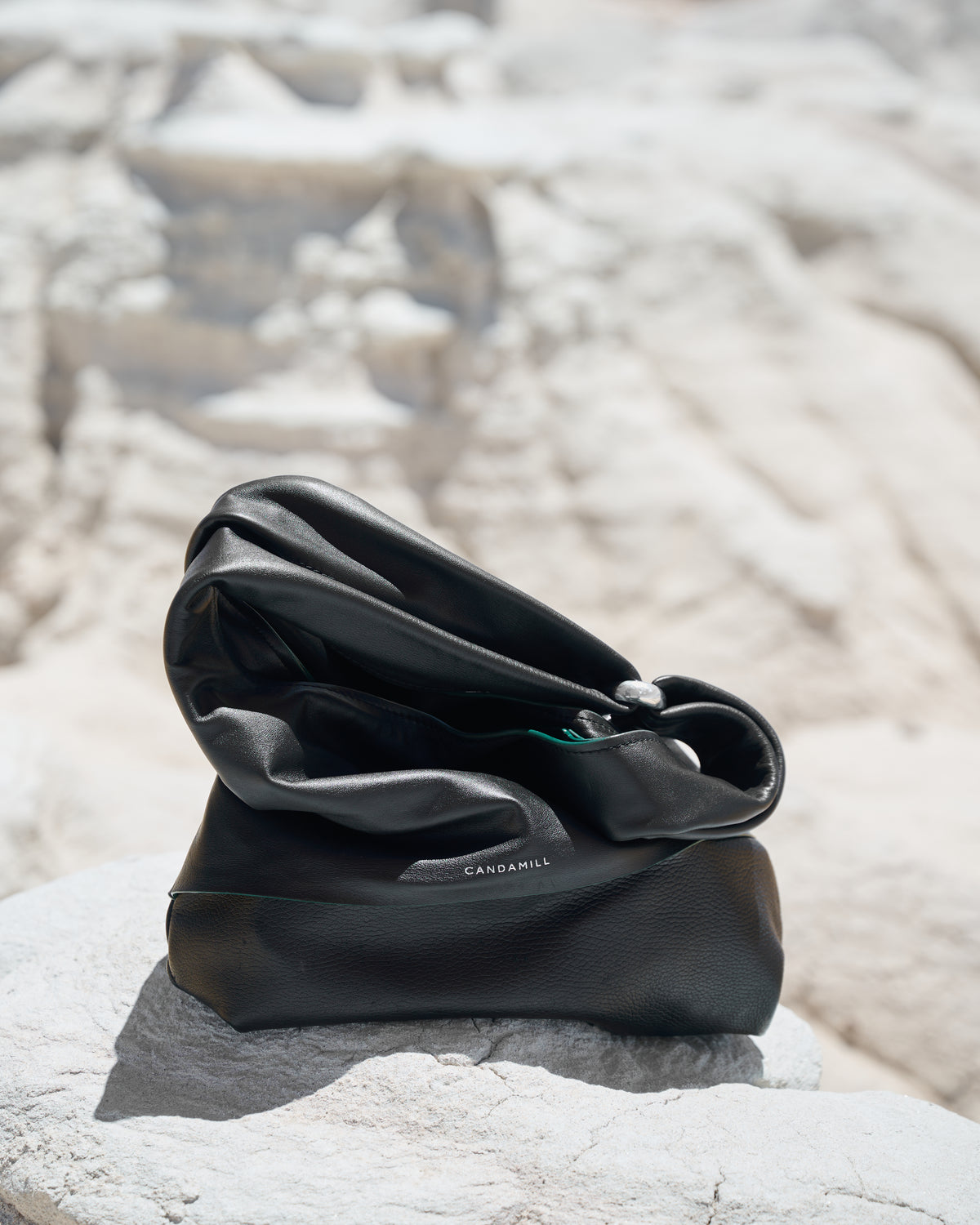 The Collector tote in Black leather with Silver hardware resting on a rock