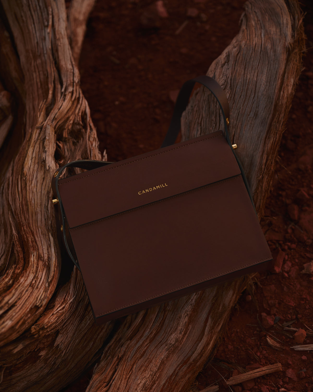 Low Rise bag in Cacao leather resting against a tree trunk